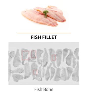 Fish Bone X-Ray Inspection.jpg